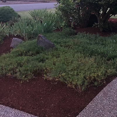 Mulching