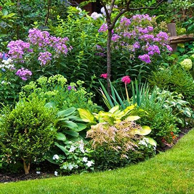 Gardening